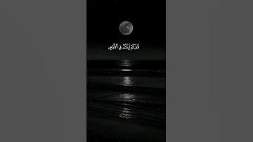 سورة المؤمنون كاملة | تلاوة خاشعة مؤثرة بصوت جميل يريح القلوب | Surah Al-Mu’minun
