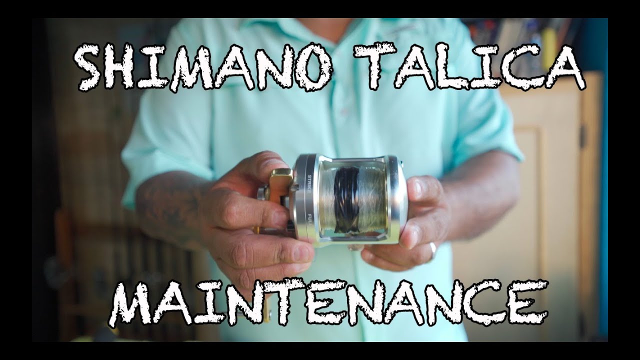 Shimano Talica 16 II Maintenance 🔧 Keep Your Reel Running Like New!