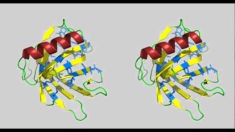 My First PyMOL Movie