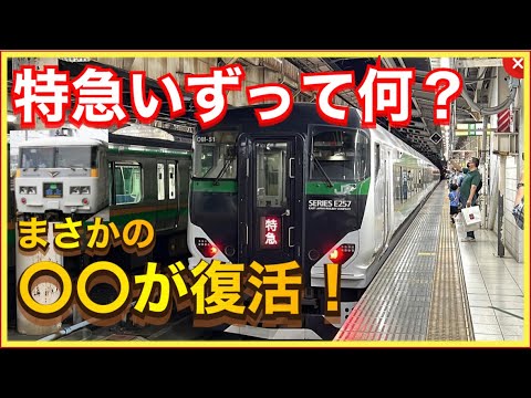 【特急草津四万が東京発着⁉️】ついに発表された臨時列車の車両や行き先が衝撃的すぎる‼️JR東日本2023年春の臨時列車‼️