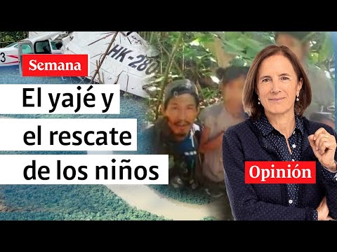 ¿Duendes acompañaron a niños de la selva del Guaviare? Sorprendentes relatos