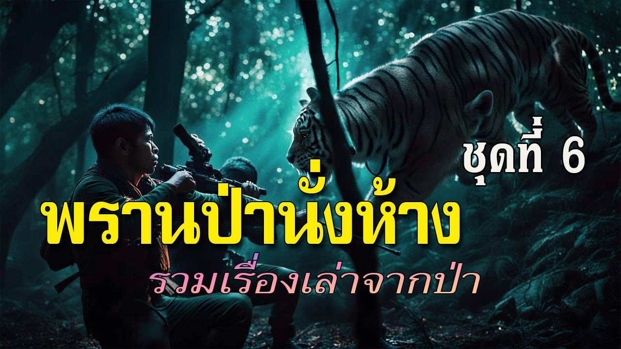 รวมเรื่อง พรานป่านั่งห้าง ชุดที่ 6