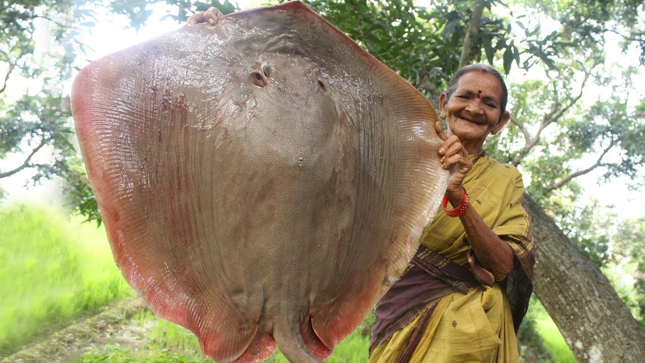 How to Cook a Big Stingray || Marbled Electric Ray Fish By My Grandmother || Myna Street Food