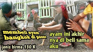 Ayam Bangkok super bagus kualitasnya terjamin _ Mekarjaya kecamatan Tanjung raja Lampung utara. 