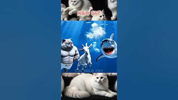 Video 11563281: cute cat mom