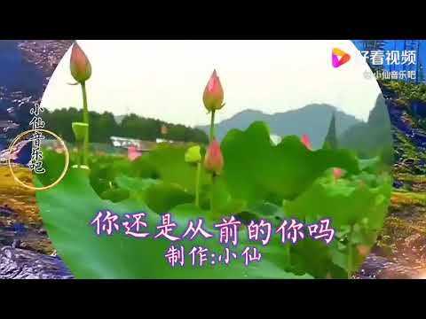 一首伤感情歌《你还是从前的你吗》句句深情催人泪下