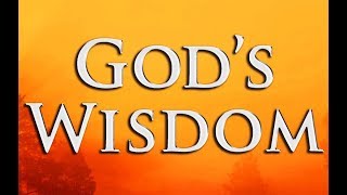 The Book Of Wisdom - Douay–Rheims Bible - Audiobook screenshot 5