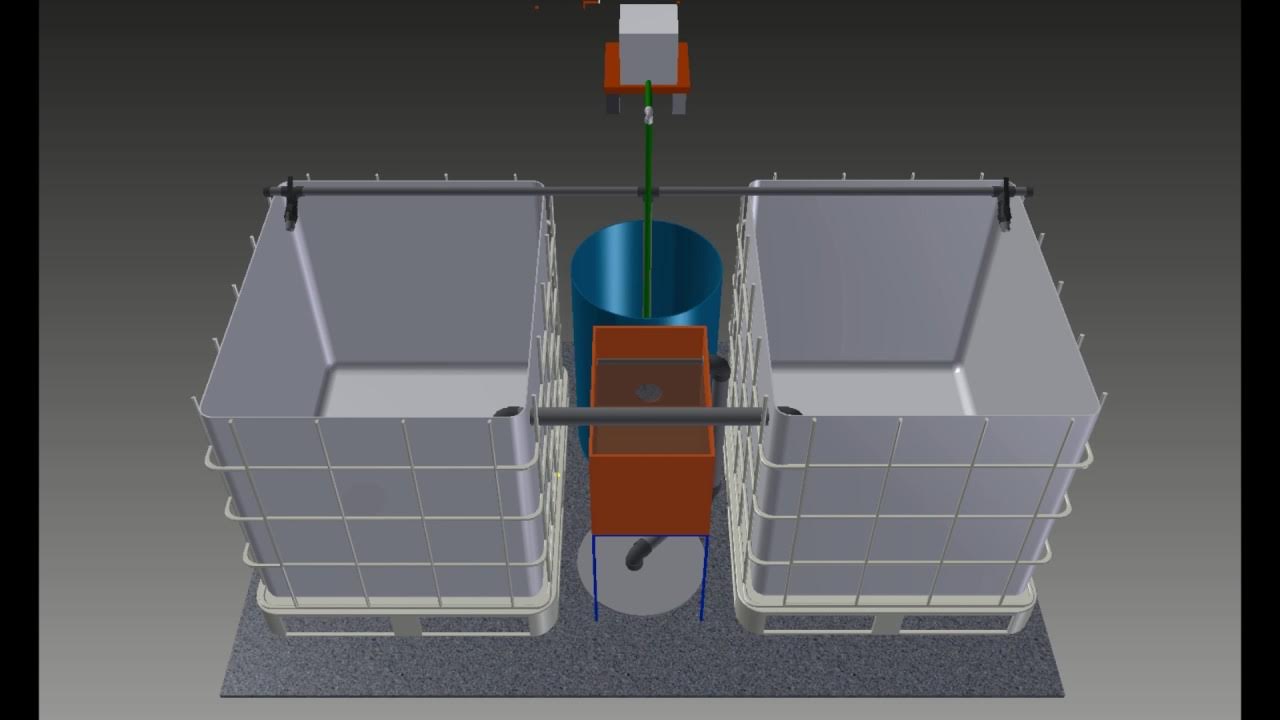 Узв для сома. Модуль узв бассейны с телапией. Узв для сома. Система узв. Клариевый сом в узв.