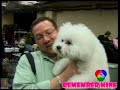 remember mine งานประกวดสุนัข Westminster Dog Show ปี 2009