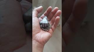 Evde Bulduklarim Part-5 Sürpri̇zz