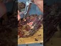 How Tahitian Pearls Are Harvested How Tahitian Pearls Are Harvested