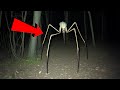 The Scariest Things On Reddit?