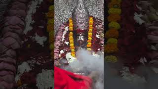 Joy Tara Maa 🙏🌸#shorts #maakali #ytshorts