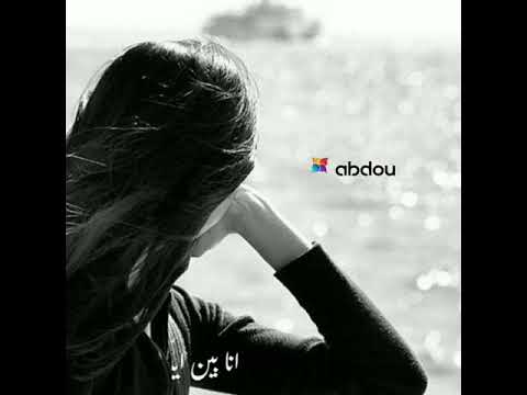 قديم راغب علامه حبك غالي