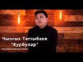 "Курбулар" Чынгыз Таттыбаев (cover) созу,обону Чубак Сатаев