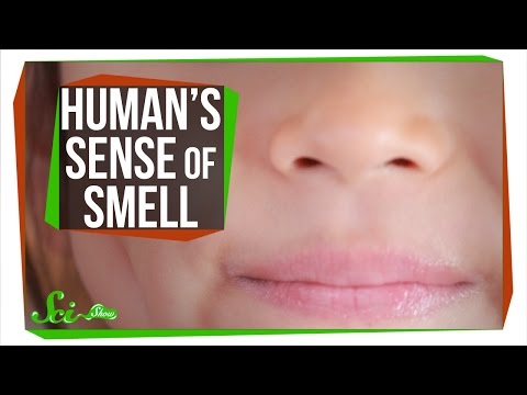 Video: The Human Sense Of Smell May Be Stronger Than It Was Thought - Alternative View