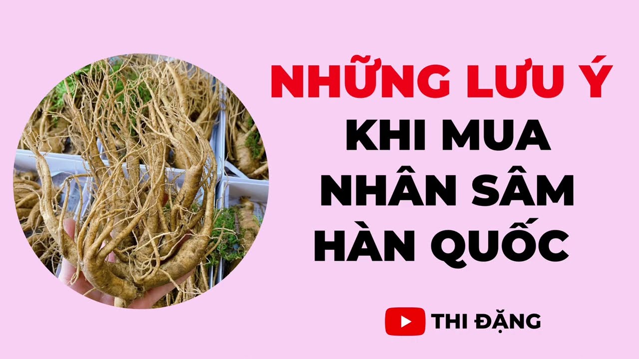 Nhân sâm tươi hàn quốc mua ở đâu