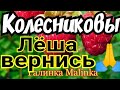 Колесниковы /7-я Колесниковых /Обзор новых ВЛОГОВ /Лёша, Вернись //