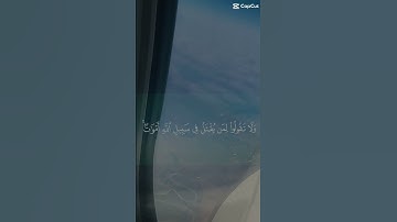 قران كريم #المصحف #راحة_نفسية #اكسبلور