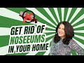 Effective Ways to Eliminate NoSeeUms at Home 🦟