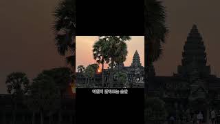⁠[앙코르와트 Ep.01] 새벽 5시에 안 가면 평생 후회하는 이유 😱 (Angkor Wat Sunrise)⁠