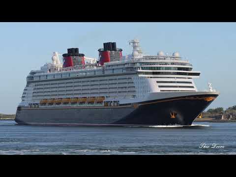 Video: Eetopties aan boord van het Disney Dream Cruiseschip