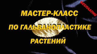 видео: Мастер-класс по гальванопластике растений. Уникальный токопроводящий слой без лака, пудры и графита. картинка: Мастер-класс по гальванопластике растений. Уникальный токопроводящий слой без лака, пудры и графита.
