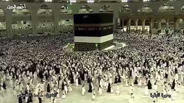 سورة البقرة الشيخ محمد الصيفي وتلاوة نادرة مباركة فترة الخمسينات