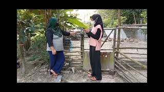 TUGAS WAWANCARA PETERNAK BEBEK. #SMAN1SIMPANGPESAK