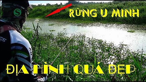 Câu cá lóc, Săn cá rừng u minh ngày mưa bão, Fishing lure, Sắc Màu VN