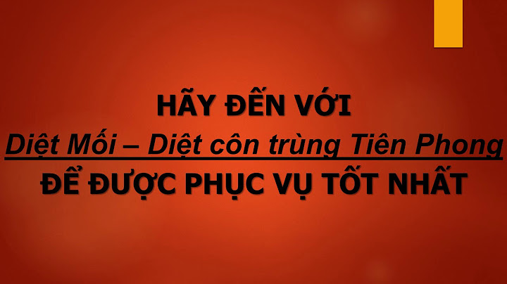 Giá bột xử lý mối nối gyp-filler