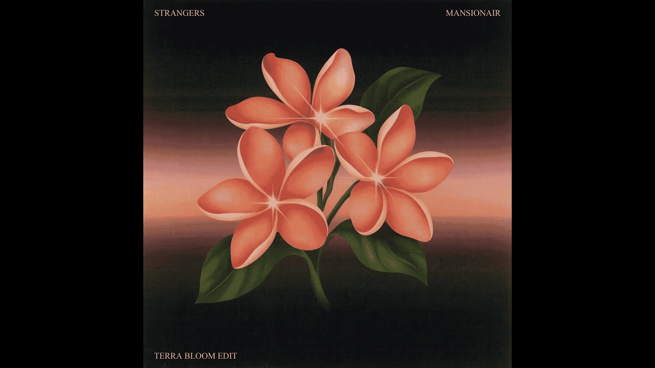 Dom Dolla, Mansionair - Strangers (Terra Bloom Remix)