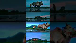 Editing Video Forming The Beginning Mahi Village Vlogs Talamadla