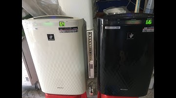 Chia sẻ kinh nghiệm chọn máy lọc không khí Sharp hàng nhật bãi