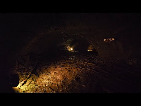 4K・ 【4K】Bats cave in Aokigahara forest near mt. Fuji