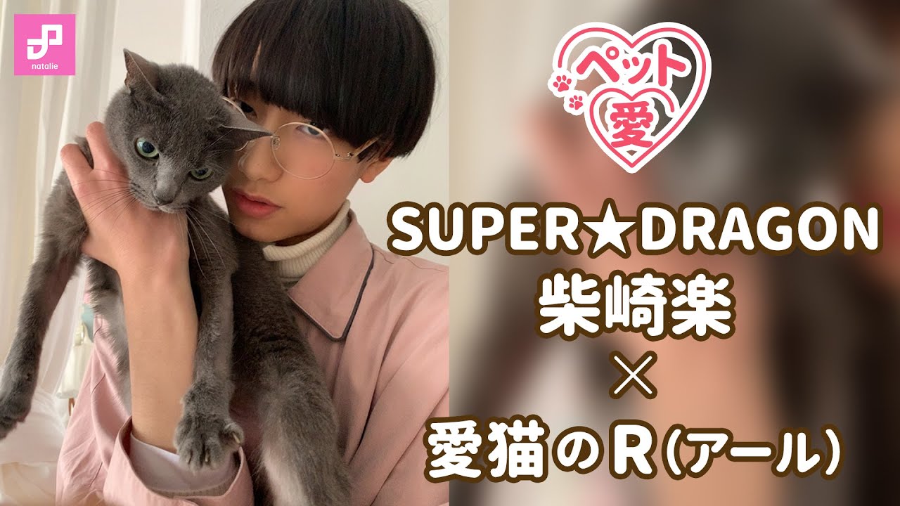 柴崎楽 Super Dragon 愛猫のr アール ペット愛 Vol 30 音楽ナタリー