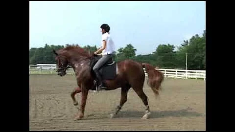 Sue Bruns Memorial Video