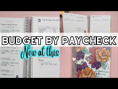 THE BUDGET MOM