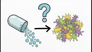 Can probiotics help with lichen sclerosus? | WHC Clinical FAQ