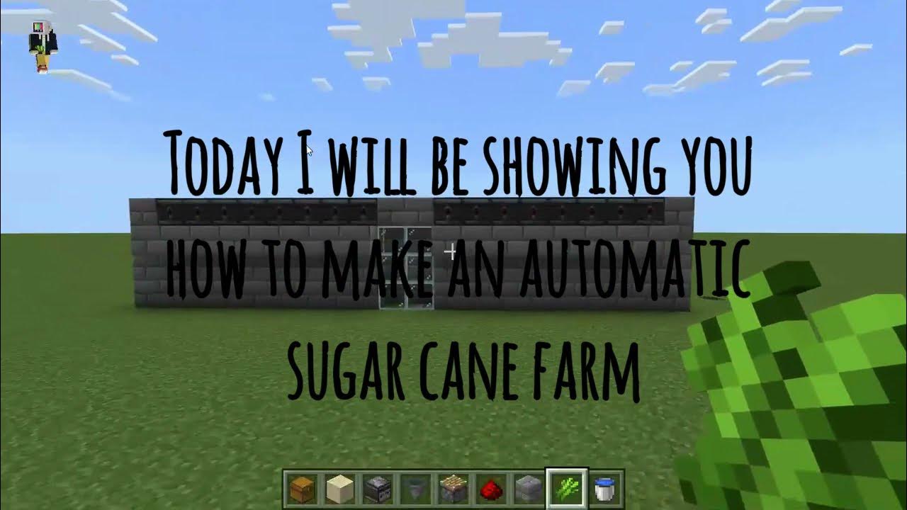 How to make a stacking sugar cane farm, Minecraft bedrock YouTube