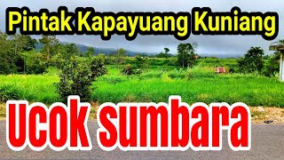 Pintak Kapayuang Kuniang Full album || Ucok sumbara