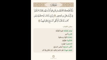 السراج في بيان غريب القران سورة ق 10 مع تلاوة الشيخ سعد الغامدي