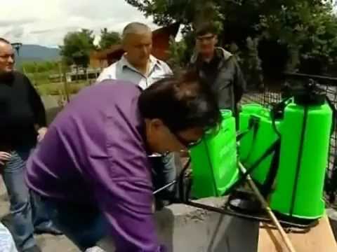 პრეზიდენტი ვენახში