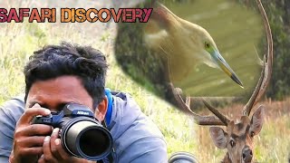 safari Discovery highlight