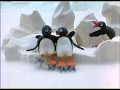 Pingu S First Kiss Pingu Official Channel Pingu S First Kiss Pingu Official Channel