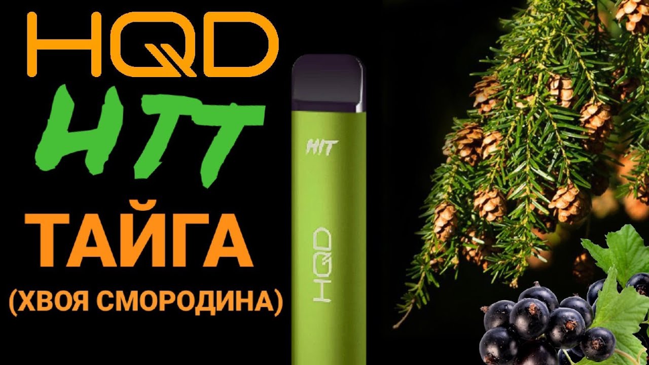 НОВИНКА HQD HIT 1600 TAIGA PINE NEEDLES WITH CURRANTS - ОТЗЫВ / HQD ХИТ ТАЙГА ХВОЯ И СМОРОДИНА