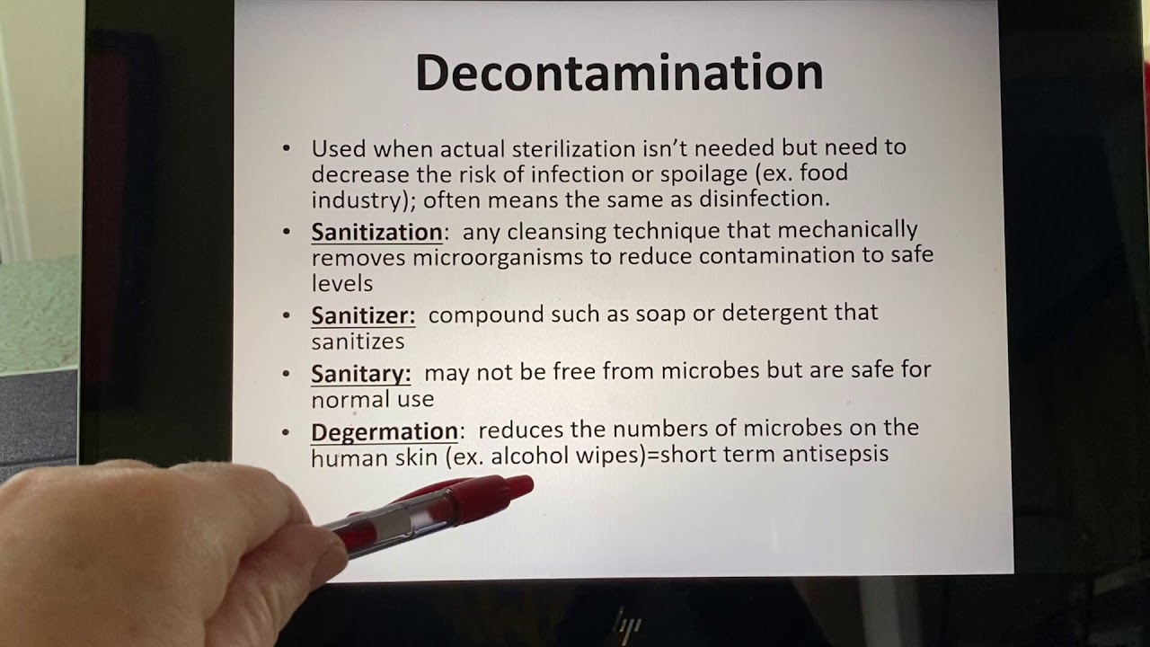 Chapter 7 Lecture Part 2🧫🧼 - YouTube