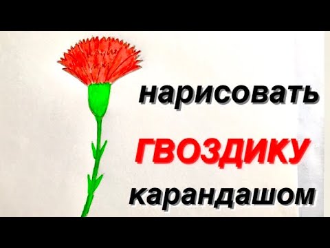 Как Нарисовать Гвоздику Карандашом Своими руками Простые домашние рисунки / How to draw flower