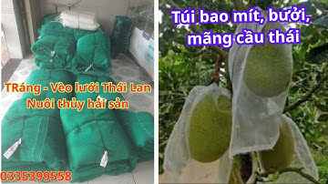 Lưới Thái Lan nuôi ốc cá tôm, lưới nhà màng chống côn trùng, lưới bao mít, bưởi, mãng cầu thái