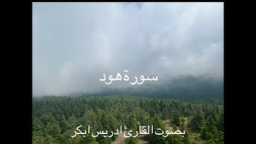 سورة هود /بصوت القارئ ادريس ابكر ❤️